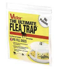 Flea Trap Refill 3pk