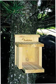 Squirrel Munch Box