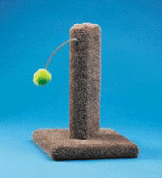 Kitty Cactus w/Pom Pom