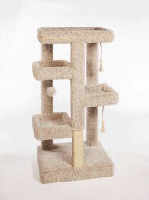 Kitty Townhouse