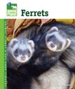 Ferrets
