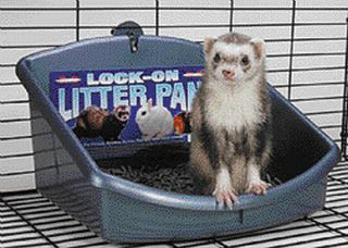 Lock On Litter Pan