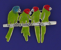 Parrots of Telegraph Hill Pin