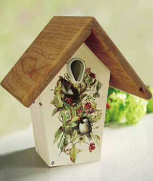 Nurturing Generations Nest Box