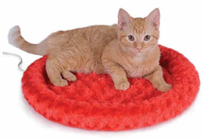 Thermo-Kitty Fashion Splash