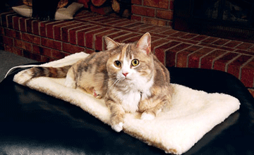 Thermo Kitty Mat