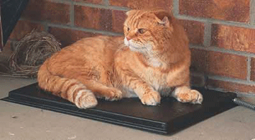 Outdoor Heated Kitty Pad