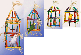 Parrot Cube Activity Center