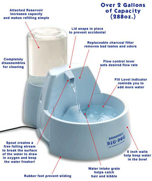 Drinkwell Big Dog Fountain