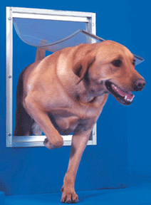 Ideal Pet Door Deluxe White Dog Door