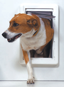 Ideal Pet Doors Ruff Weather Pet Door
