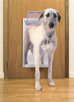 PetSafe Classic Pet Door