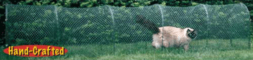 Kitty Walk Lawn Tunnel