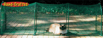 Kitty Walk Deck and Patio