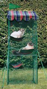 Kitty Walk Penthouse Collection