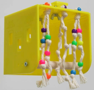 DoDo Box