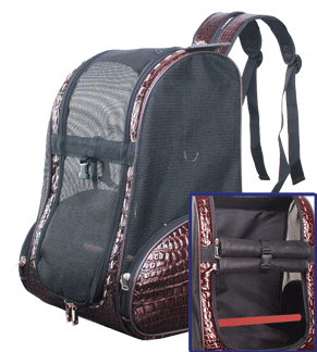 European Escape Backback