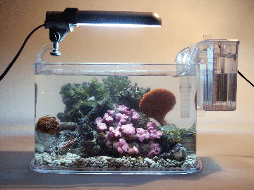 Aquarium Deco Kits