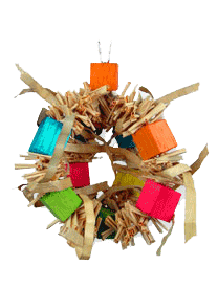 Fire Cracker Cluster