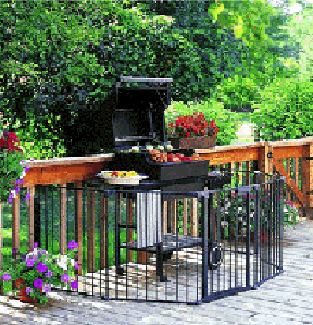 Hearth/BBQ Gate