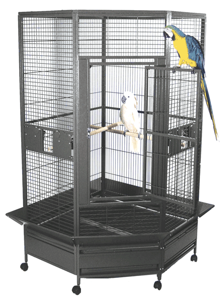 Kapoho Kave�  Corner Cage
