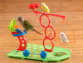 Birdie Basketball