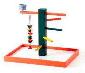 Cockatiel Play Gym