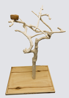 Islandwood Tree Stands