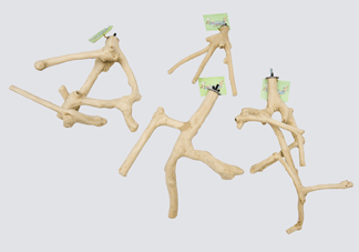Islandwood Multi-Branch Perches