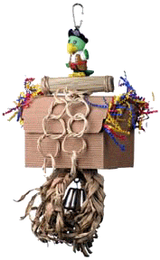 Pirate Parrot Treasure