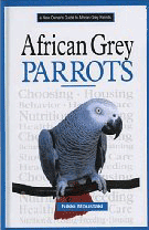 A New Owner's Guide to African Grey Parrots