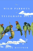 Wild Parrots of Telegraph Hill