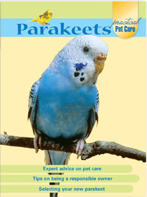 Parakeets: Practical Pet Care