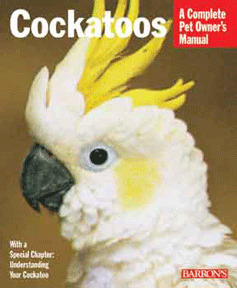 Cockatoos