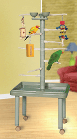 Junior Raised Parrot Tower