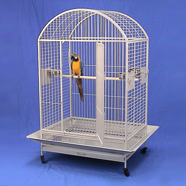 35 Bird Cages For Less West Virginia