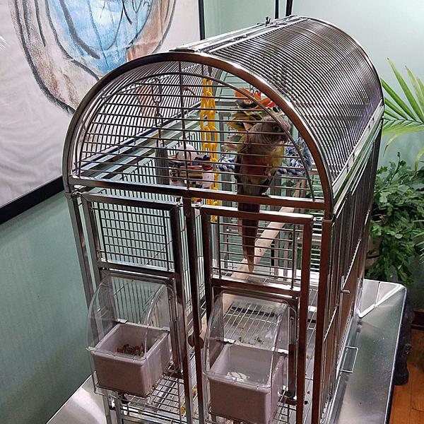Java Hut Haven Stainless Steel Bird Cage, Stainless Steel Bird Cages and Bird Cages at Bird