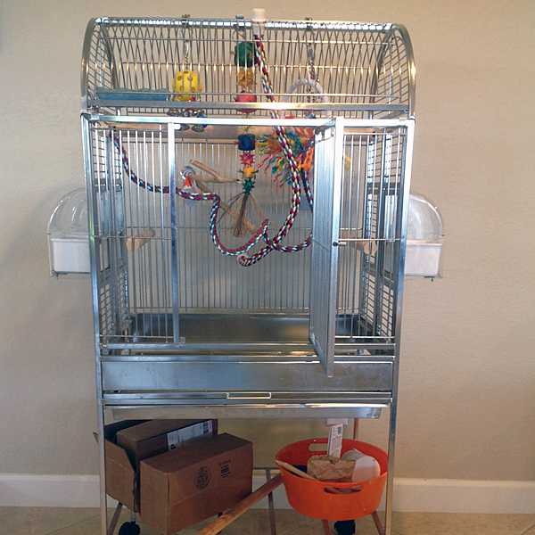 Java Hut Haven Stainless Steel Bird Cage, Stainless Steel Bird Cages and Bird Cages at Bird