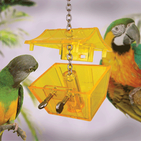 Parrot's Treasure