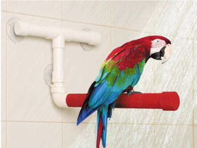 Shower-Perch-with-Bird.gif