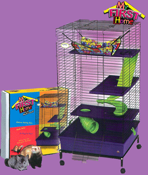 My First Home - Multi Level