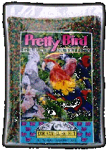 Pretty Bird Cockatiel Select