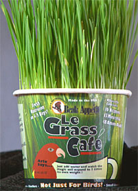 Beak Appetit  Le Grass Cafe