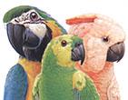 Lafeber Powdered Bird Vitamins 1.25 oz.