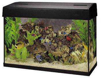 Eclipse Aquarium Hood Replacement Parts Best Accent Chairs And Eclipse Aquarium Hood Replacement Parts Best Accent Chairs And