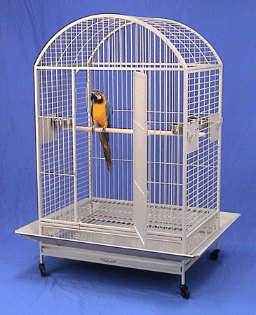 Hilo HarborDometop Bird Cage