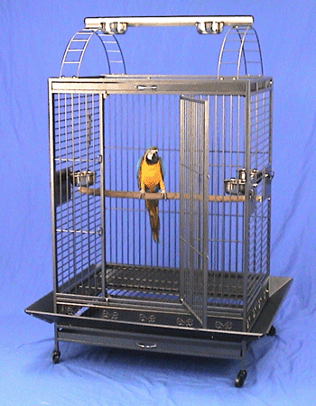 macaw cage