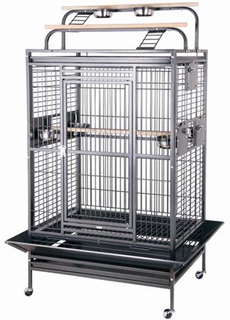 cockatoo cage