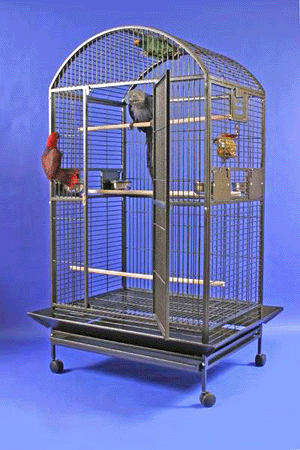 Macaw Cage For Sale Near Me Wholesale USA