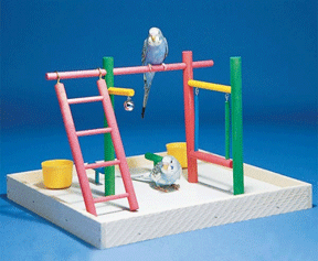 Parakeet Play Gym and Playstands at Bird Cages 4 Less